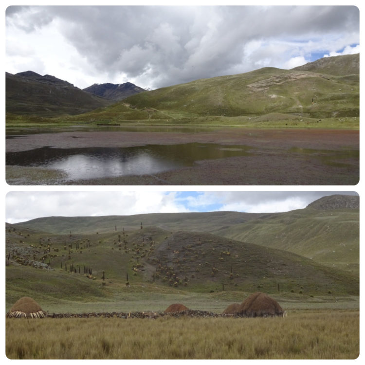 Laguna Patococha (lac aux canards) juste avant le poste de contrôle et petites maisons typiques