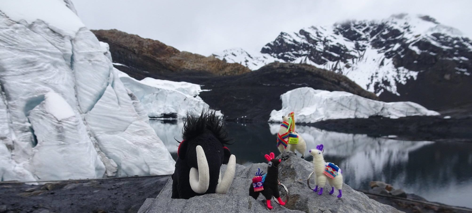 Matmutt et sa bande devant le glacier pastoruri