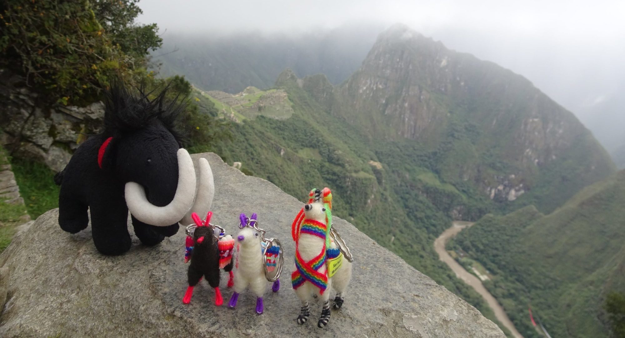 Matmütt au Machu Picchu