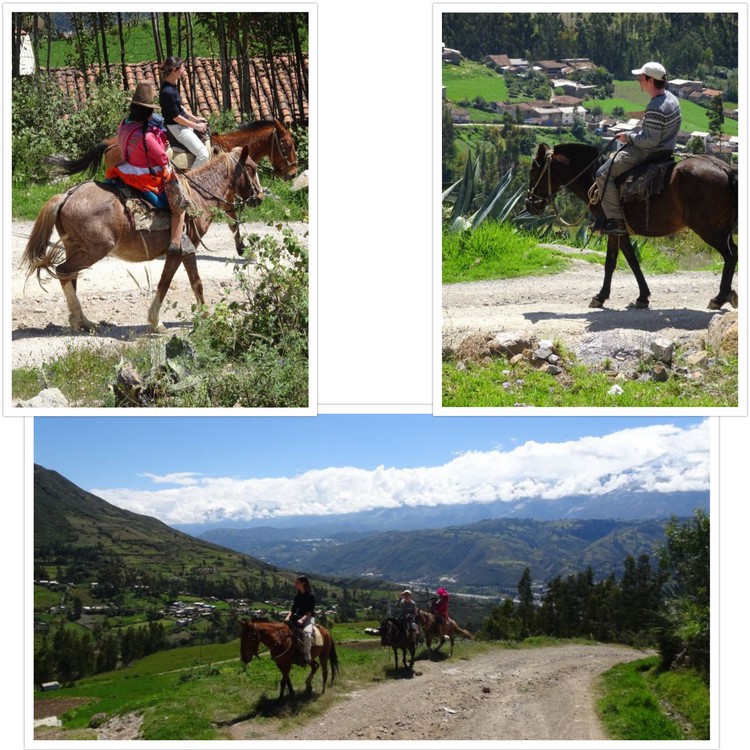 A cheval, tranquillement sur une route de montagne