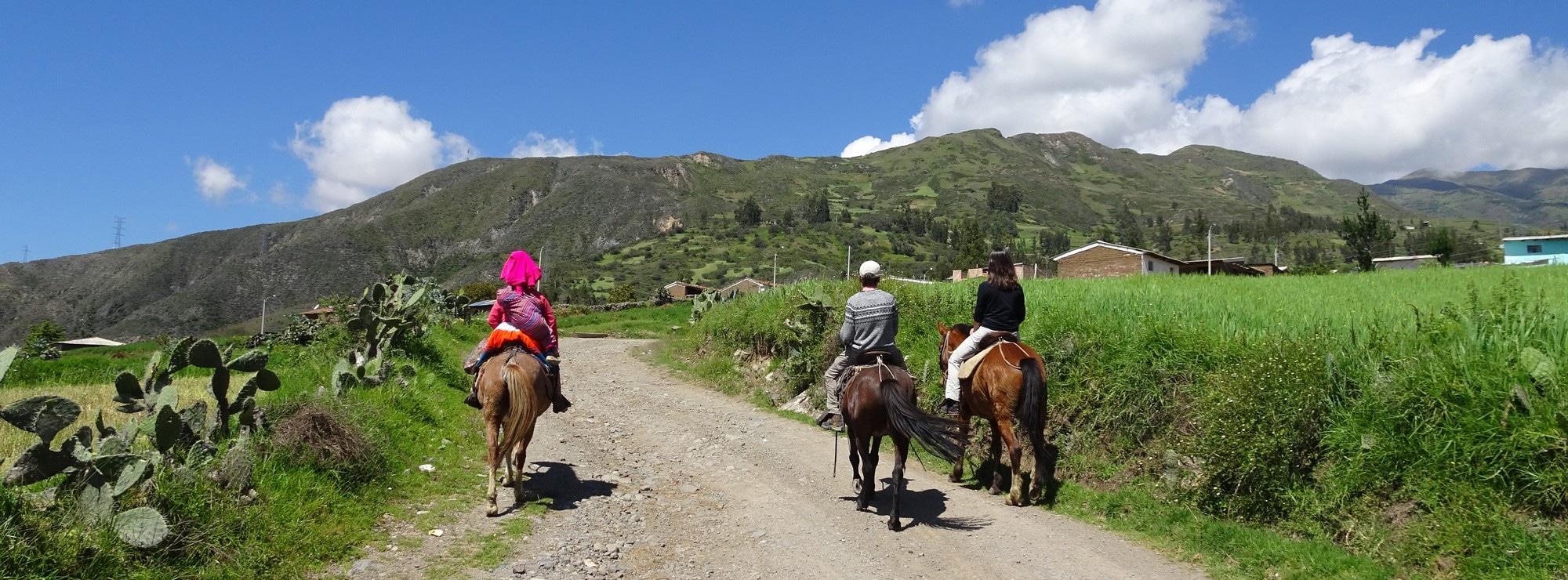 Balade à cheval près de Huaraz avec vue sur la Cordillère Blanche